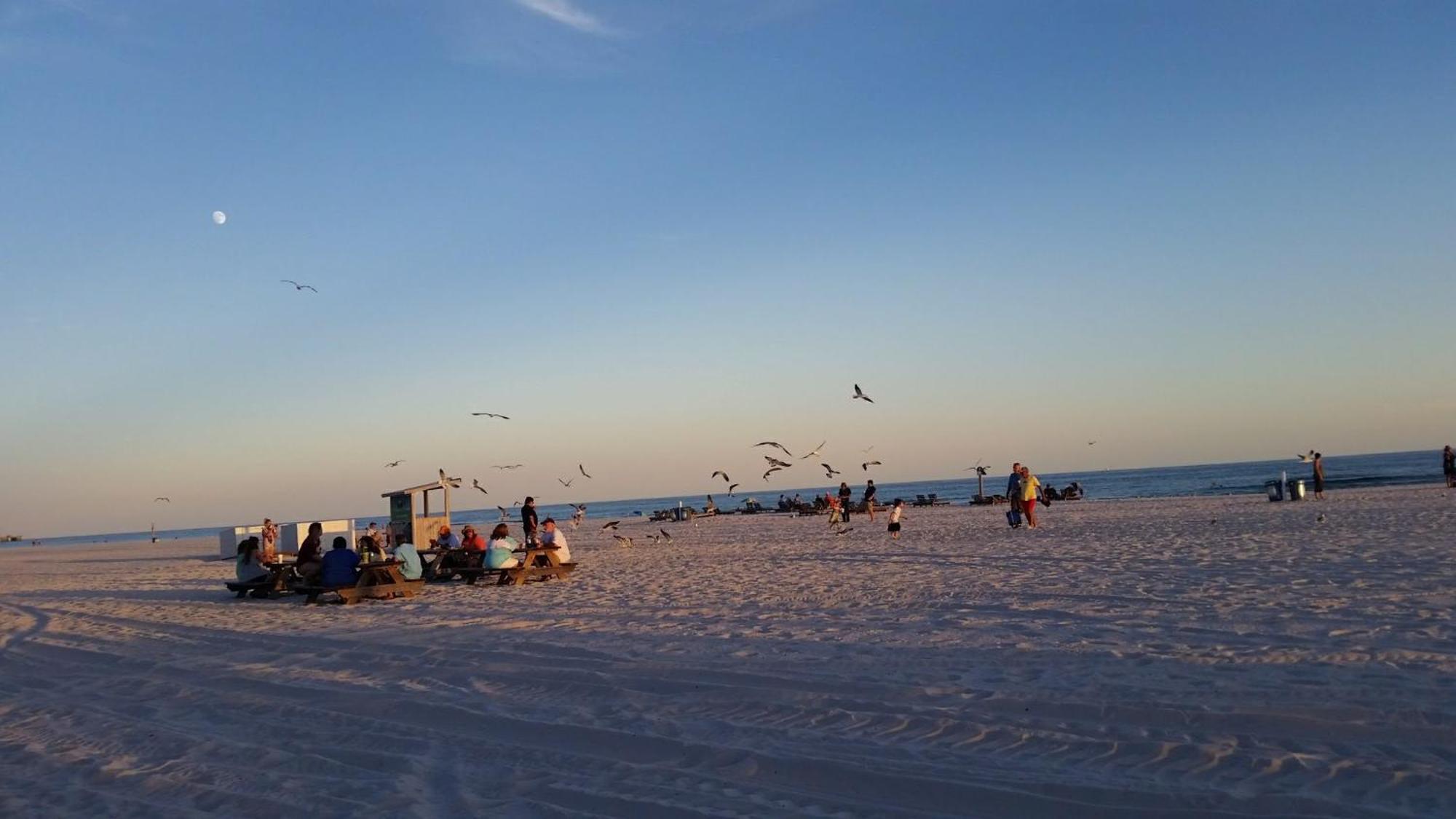 A Wave From It All Beach Resort Gulf Shores Εξωτερικό φωτογραφία